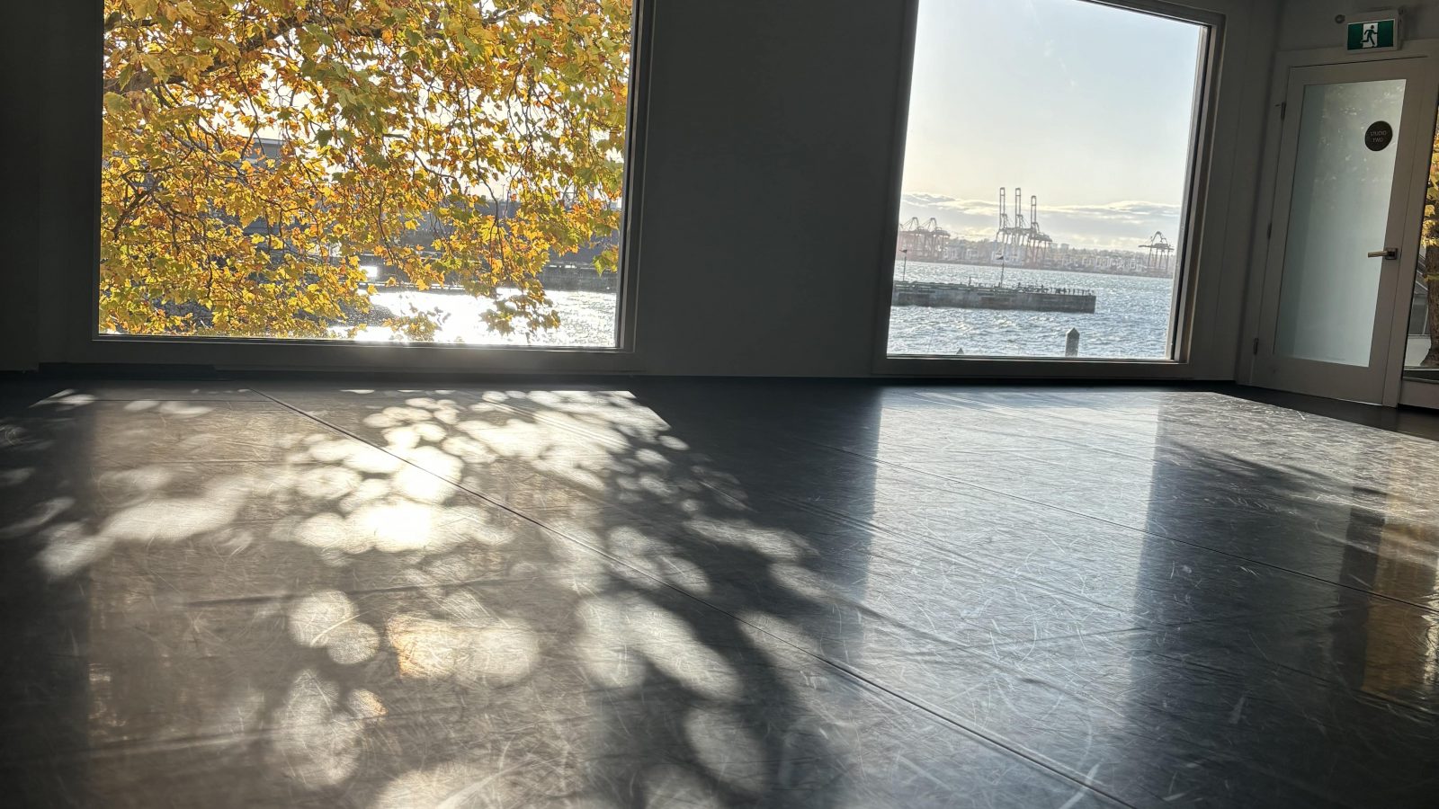 The Space - House of Performing Arts & Movement